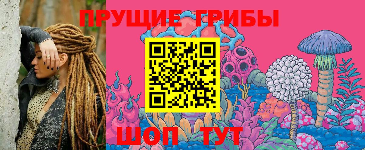 Псилоцибиновые грибы мухоморы  Галлюциногенные грибы Magic Shrooms  Вход с VPN  Кировск 